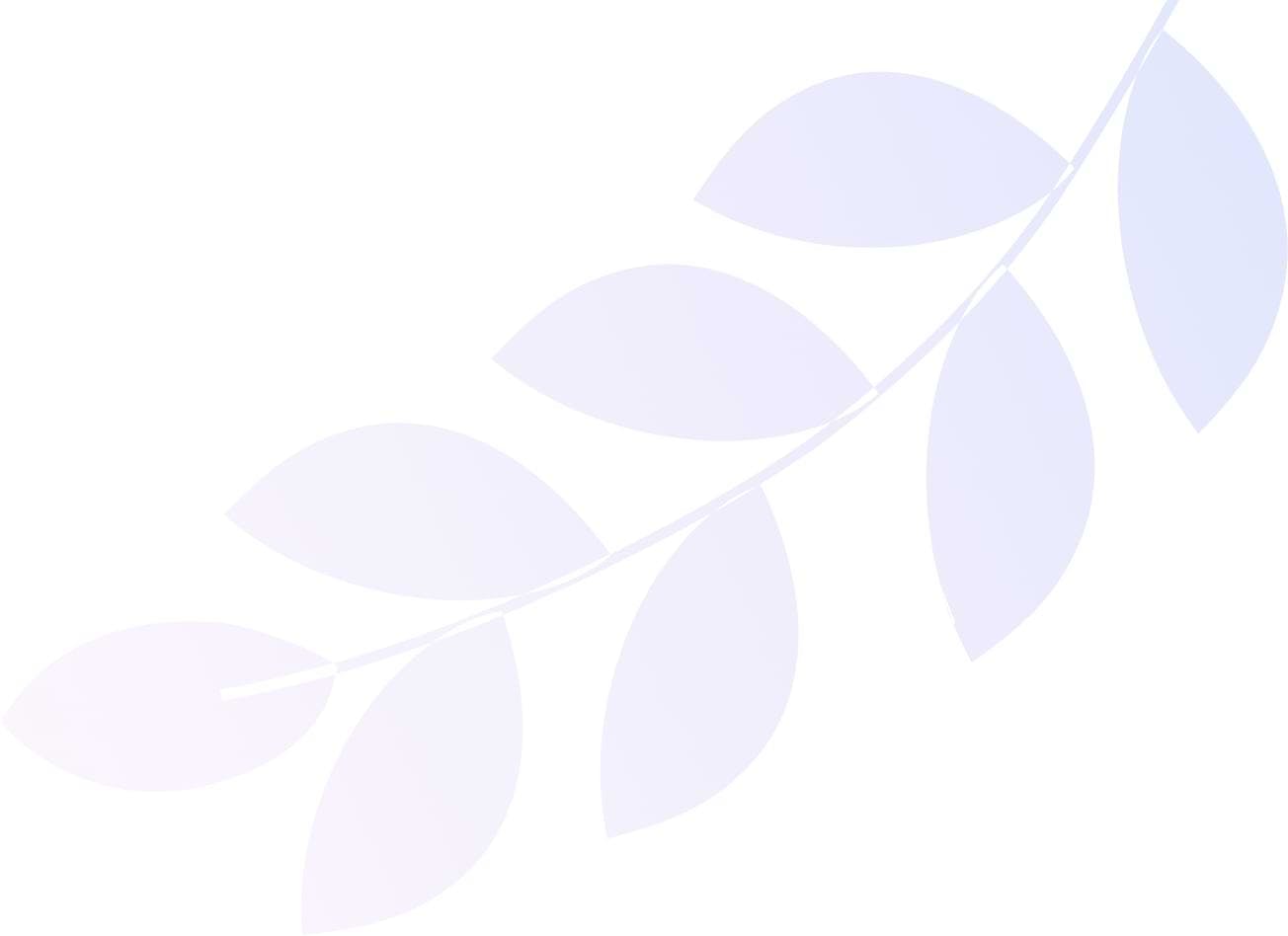 Shape Images